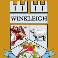 website logo